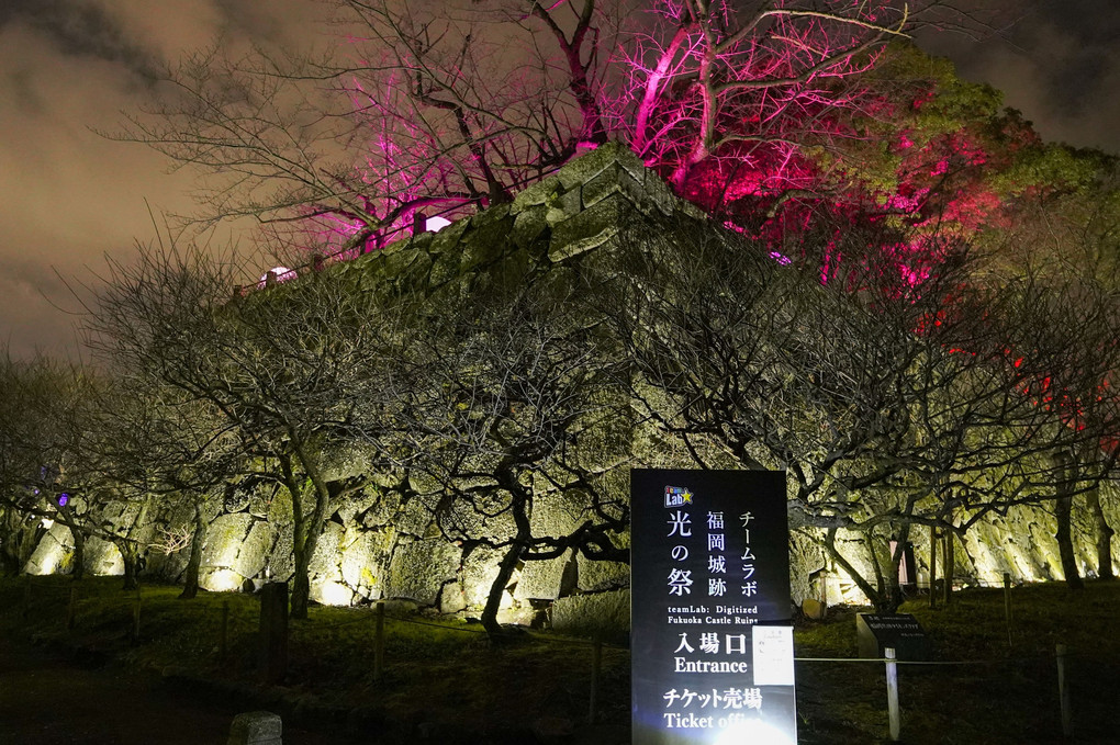 福岡城 光の祭