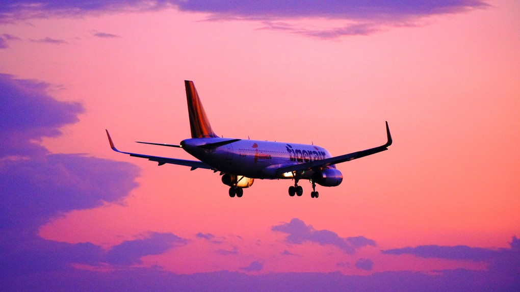 Tiger Airと夕景 仙台空港にて