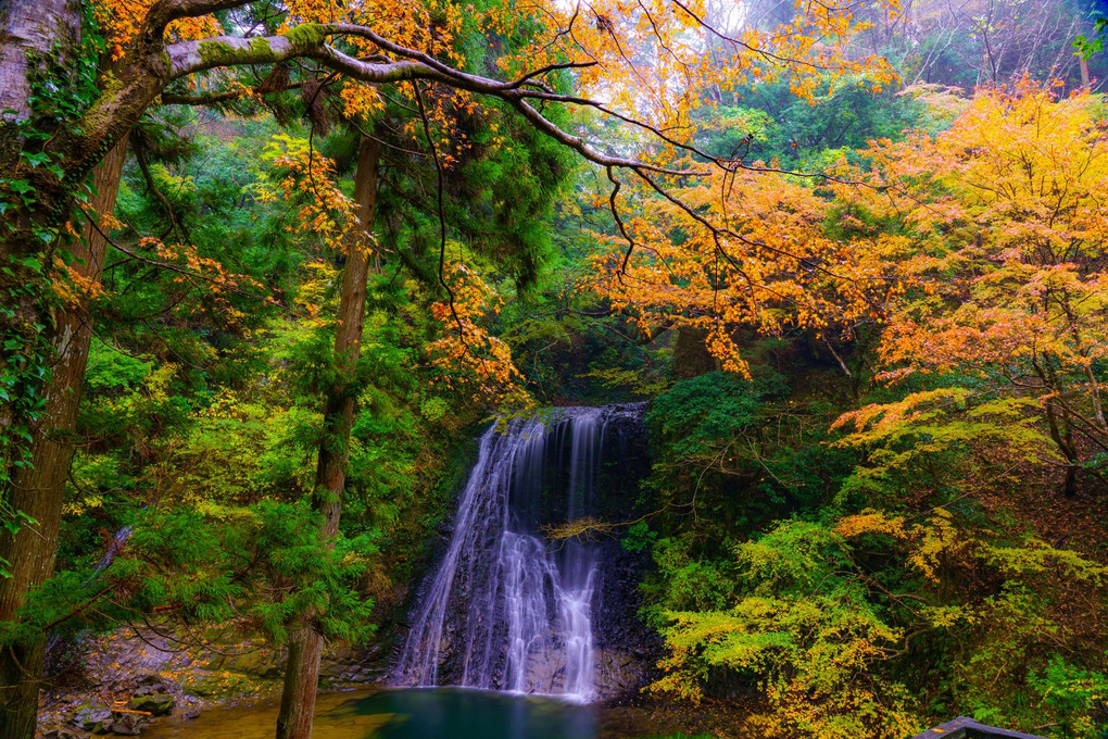 秋と滝