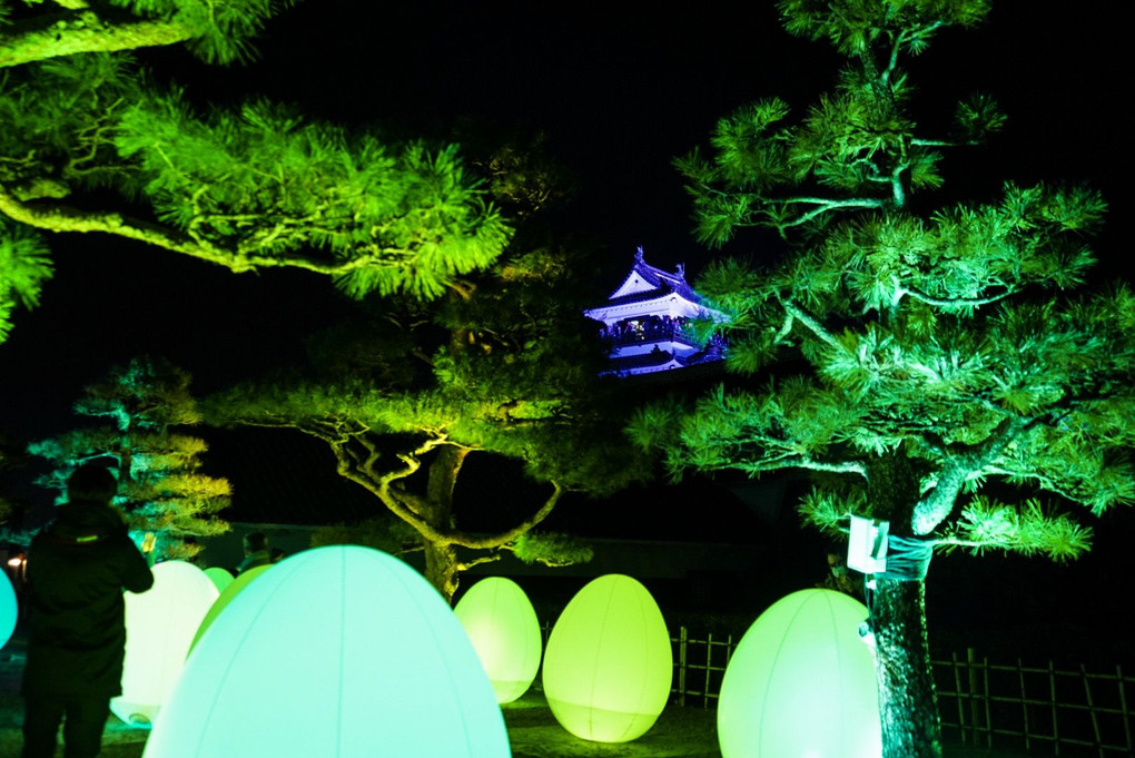高知城  光の祭