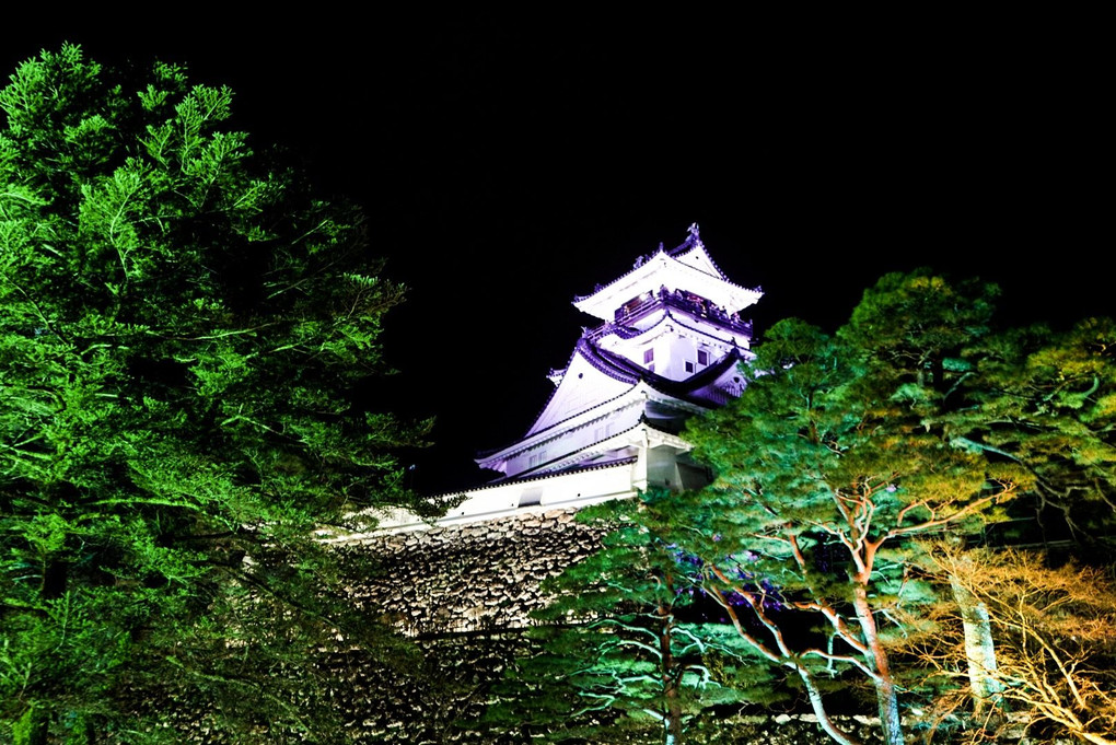 高知城  光の祭