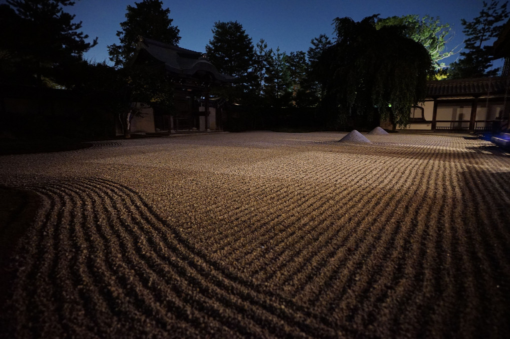 高台寺の夜