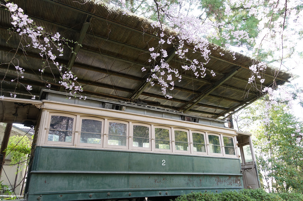 京の都　平安神宮　綺麗でした