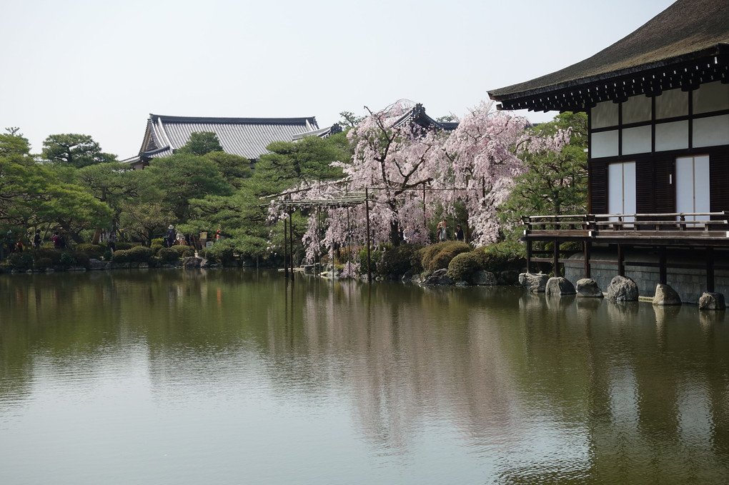 京の都　平安神宮　綺麗でした