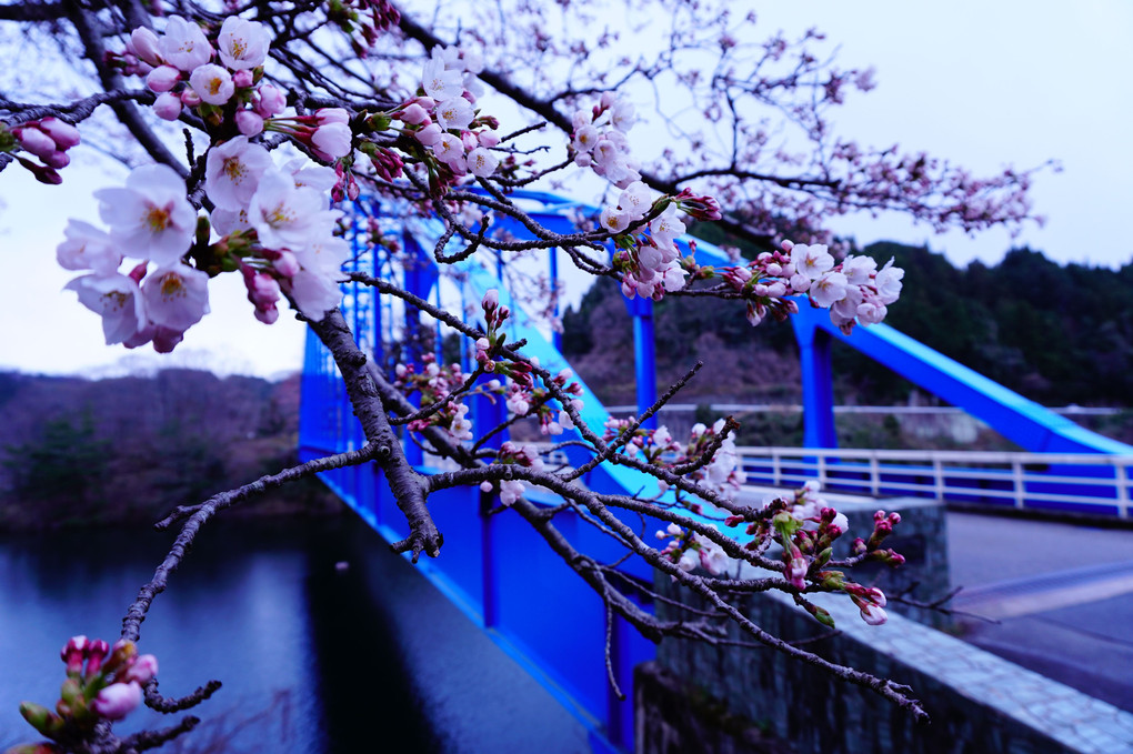 青い橋