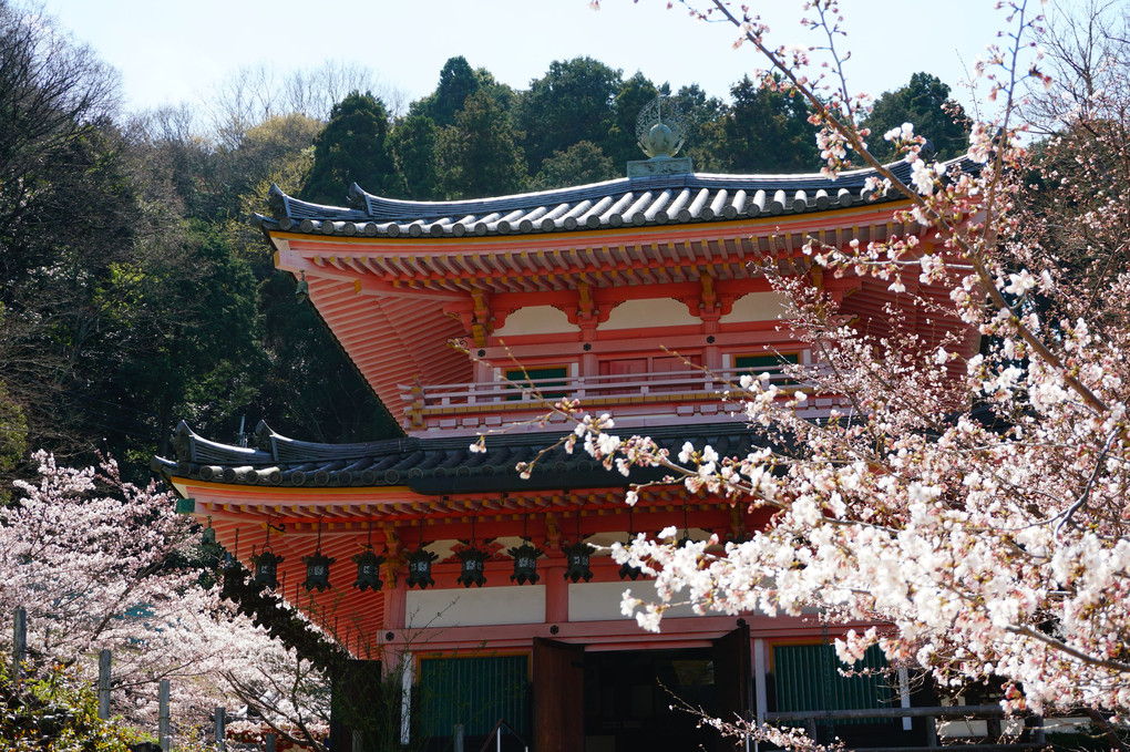奈良　壺阪寺