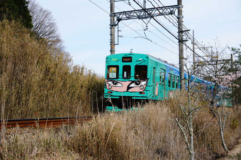 伊賀鉄道　緑いろ