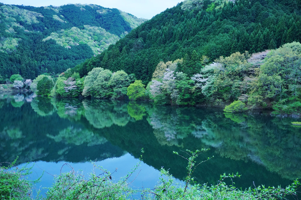 おだやかな日の湖面