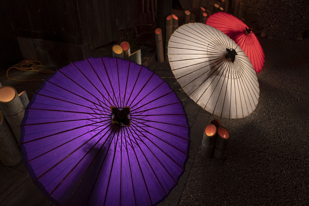 山鹿、和傘と竹灯籠