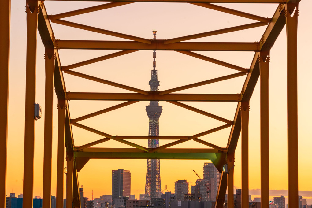 夕日と格子、スカイツリー