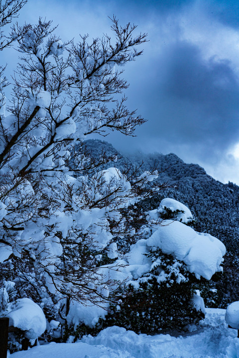 英彦山