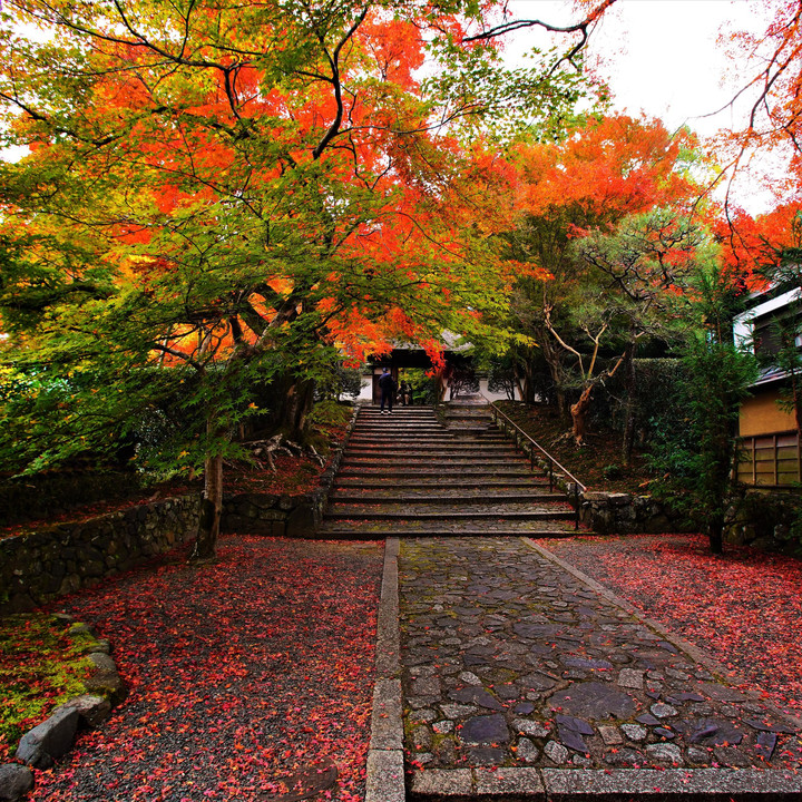 京都　秋