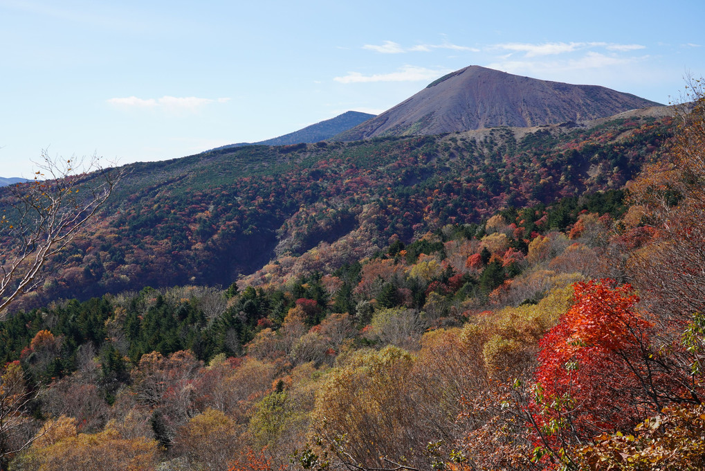 紅葉の磐梯吾妻スカイライン