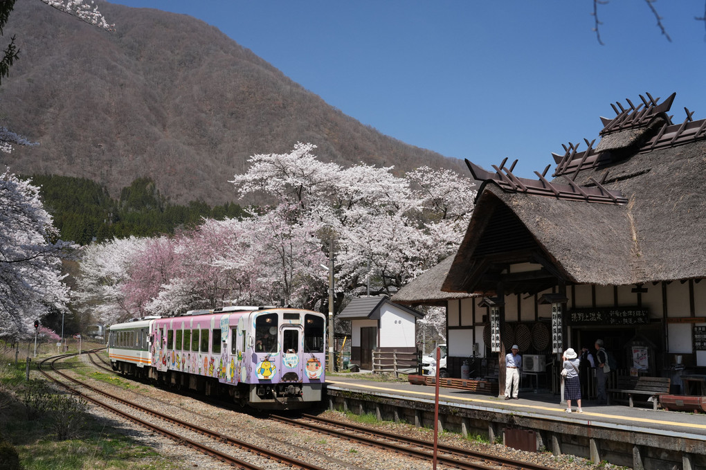 桜満開の湯野上温泉駅