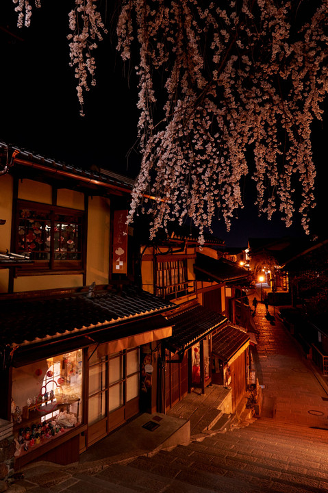 The 京都　-夜桜-