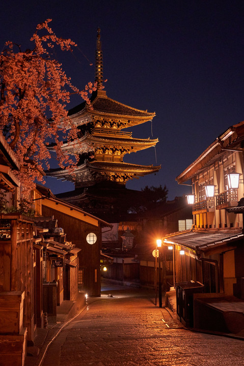 The 京都　-夜桜-