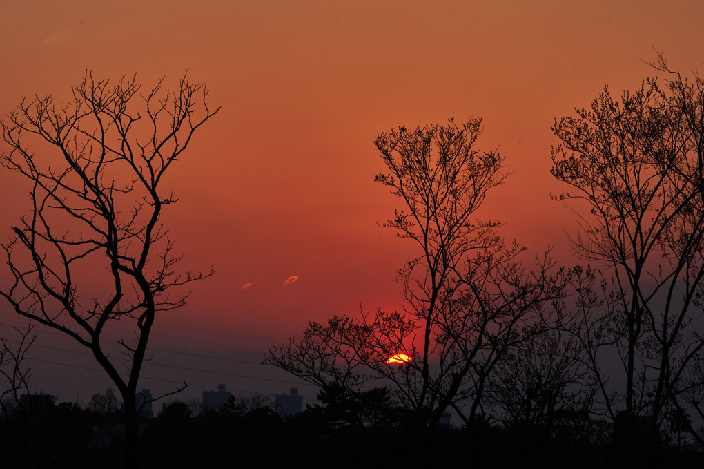 ある日の夕暮れ