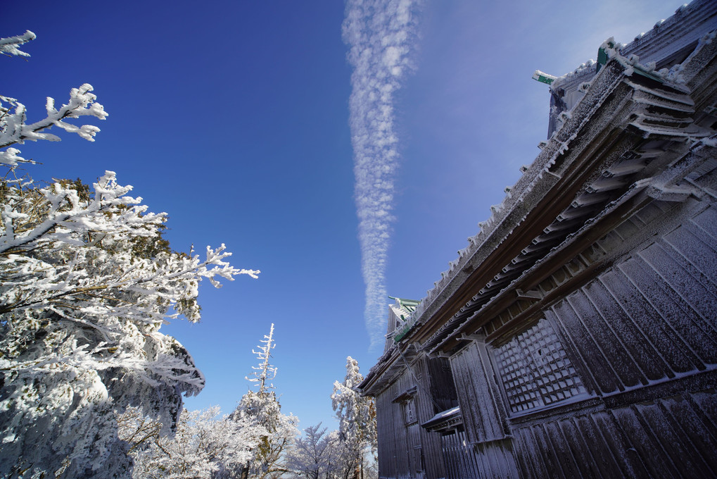 白と青