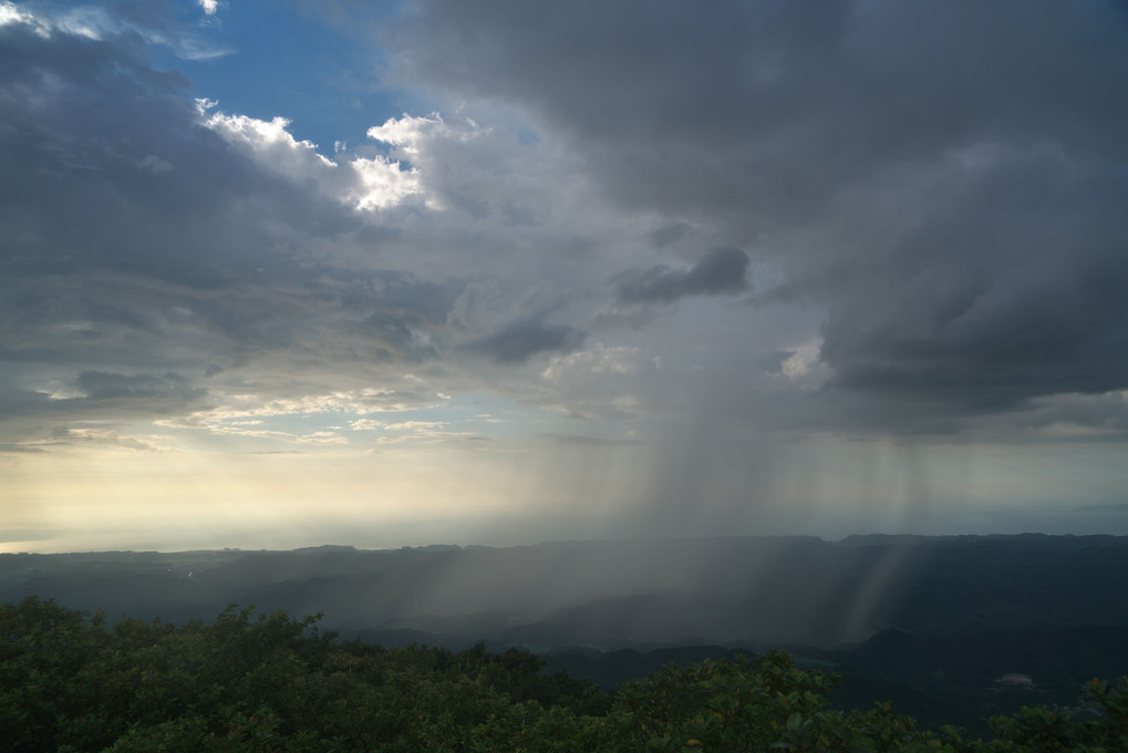 雨