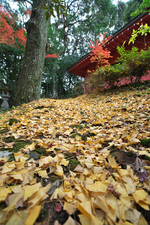 柿本人麻呂神社の紅葉