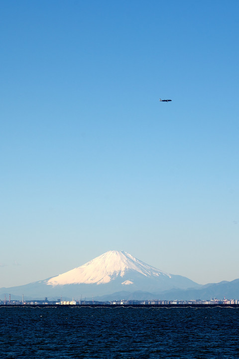 日本晴