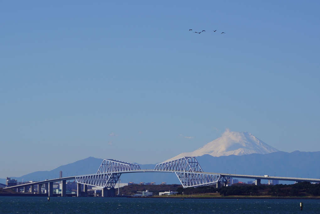 東京ゲートブリッジと富士