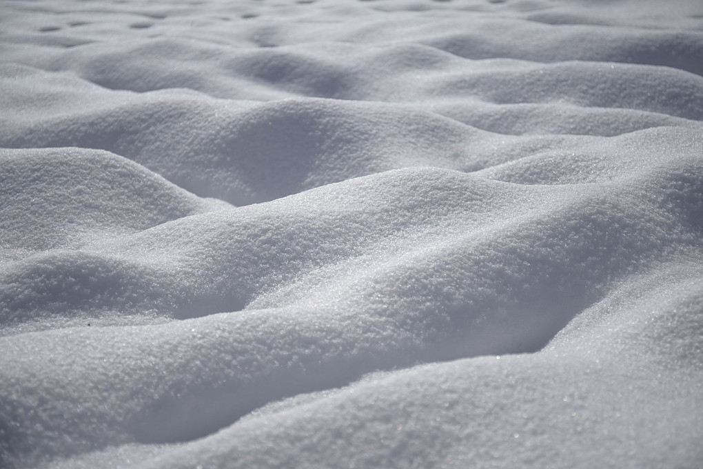 この雪が消えれば