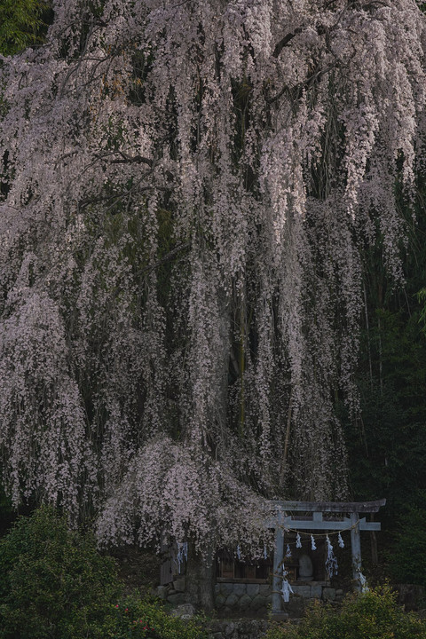 花の滝