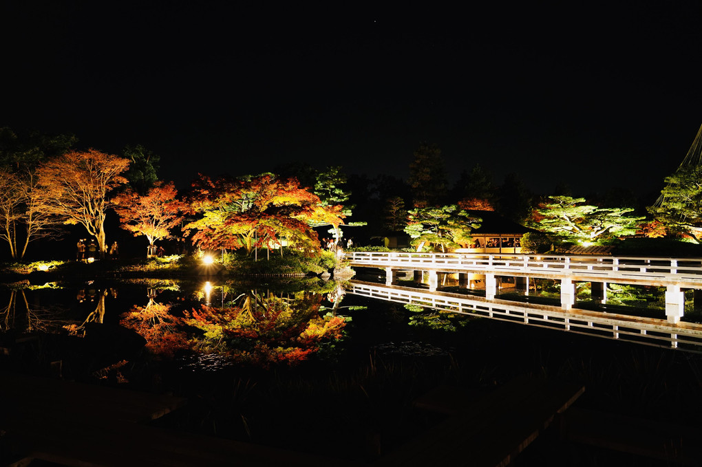 昭和記念公園（Nov. 2020）