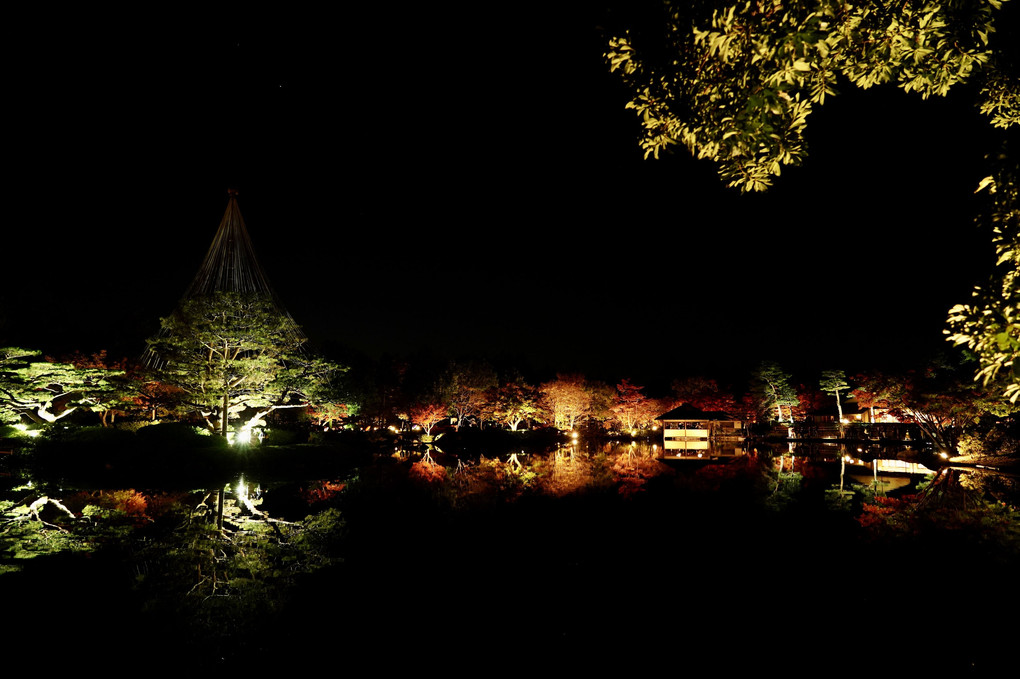 昭和記念公園（Nov. 2020）