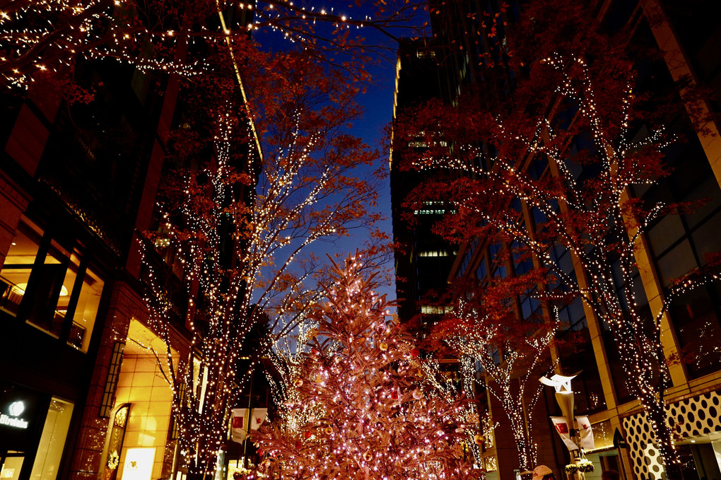 Illumination 東京駅周辺 in Dec_2021