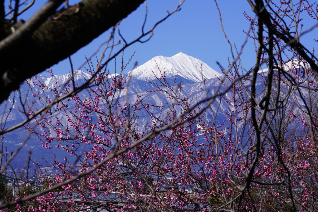 鹿島槍ヶ岳と春と