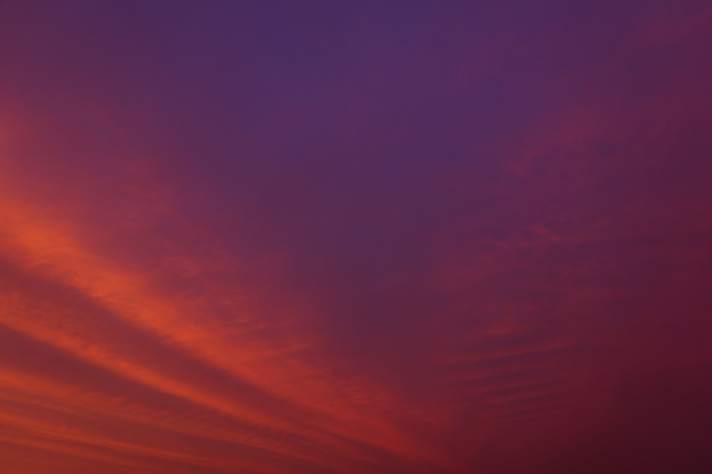夕日に染まる激レア波状雲