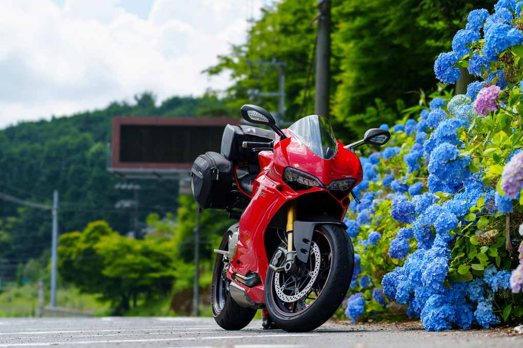 イタリアンバイクと紫陽花