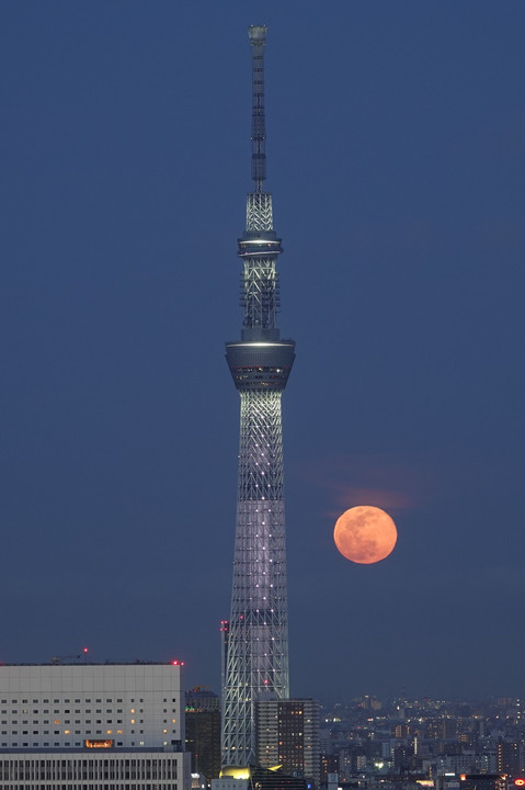 スカイツリーと満月