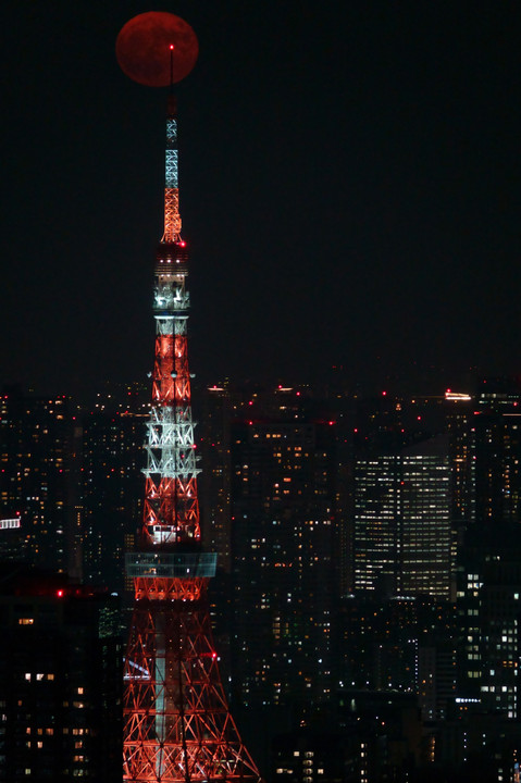満月と東京タワー
