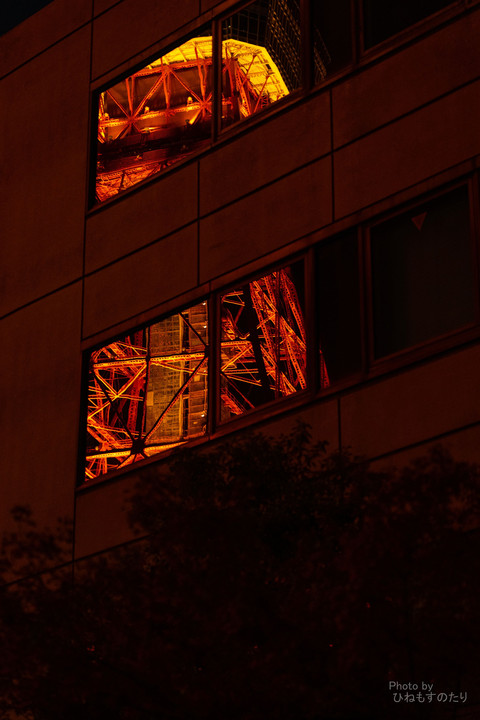 TOKYO Tower Reflection