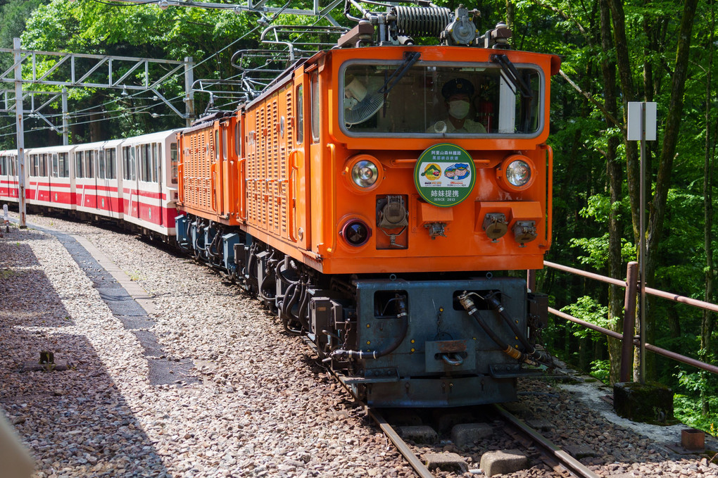 初夏の黒部峡谷を行く