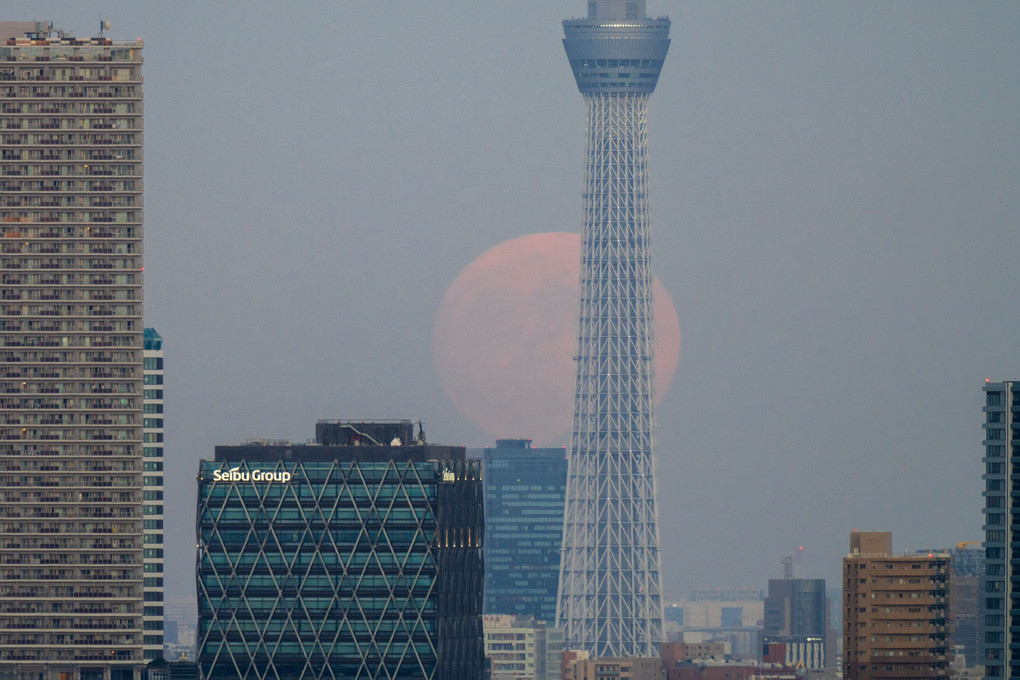小望月と東京スカイツリー（十五夜前夜）