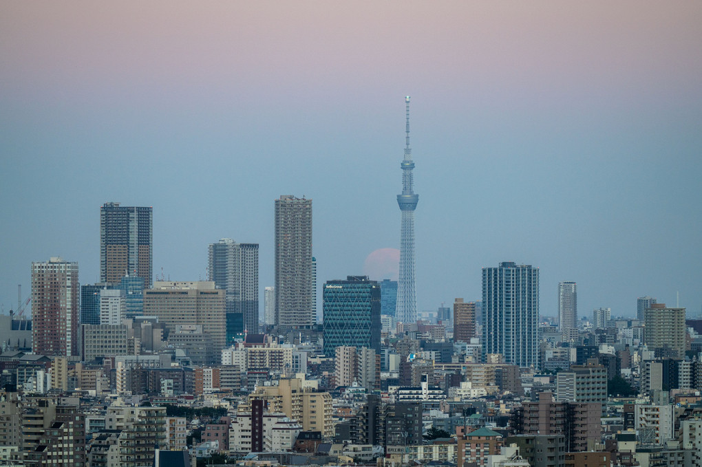 小望月と東京スカイツリー（十五夜前夜）