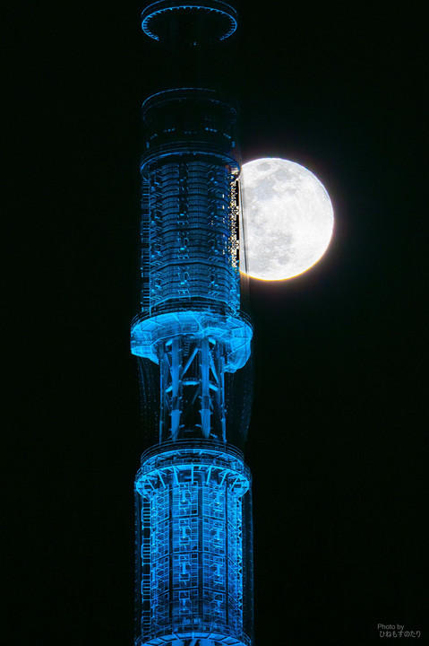Wolf moon with Tokyo Skytree 2024