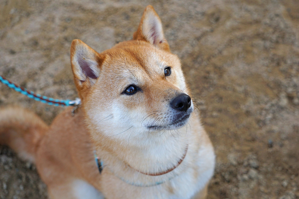 おねだり３連発！！