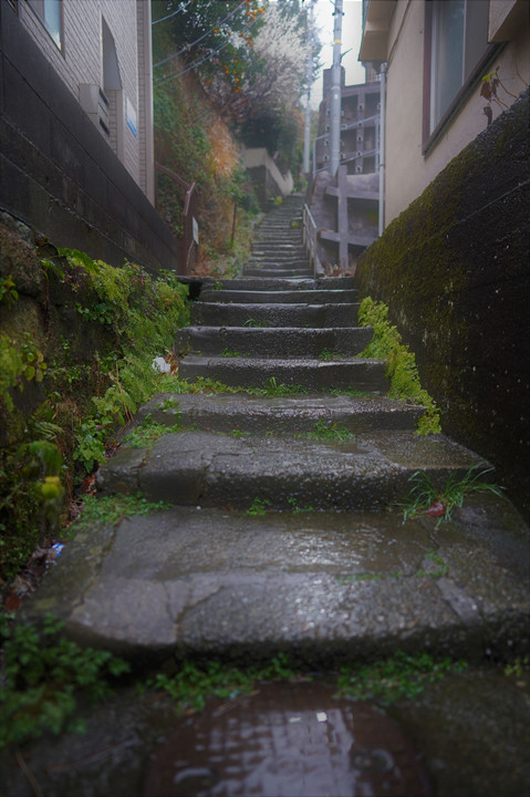 雨の小道