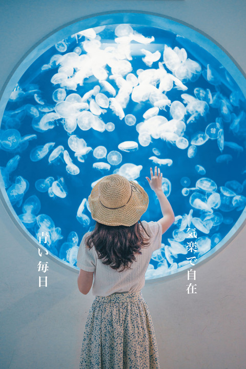 Taiwan xpark 水族館