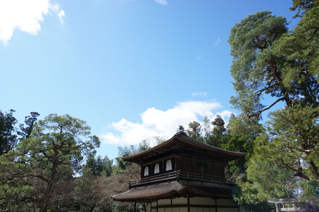 京都の青空