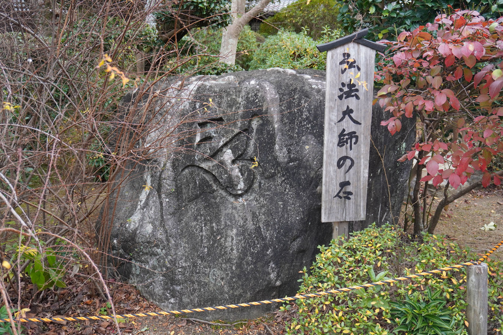 久米寺のゴールデン仏像