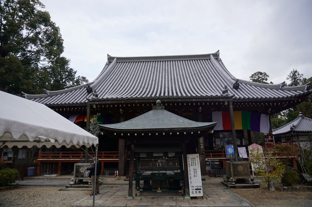 久米寺のゴールデン仏像