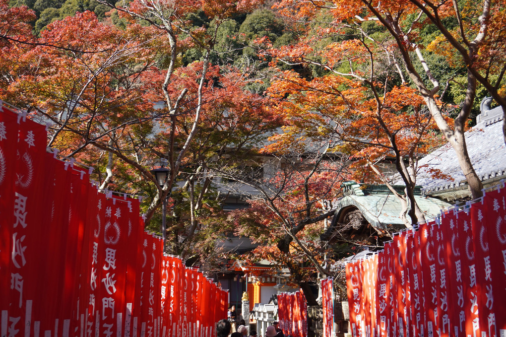 紅葉の信貴山朝護孫子寺