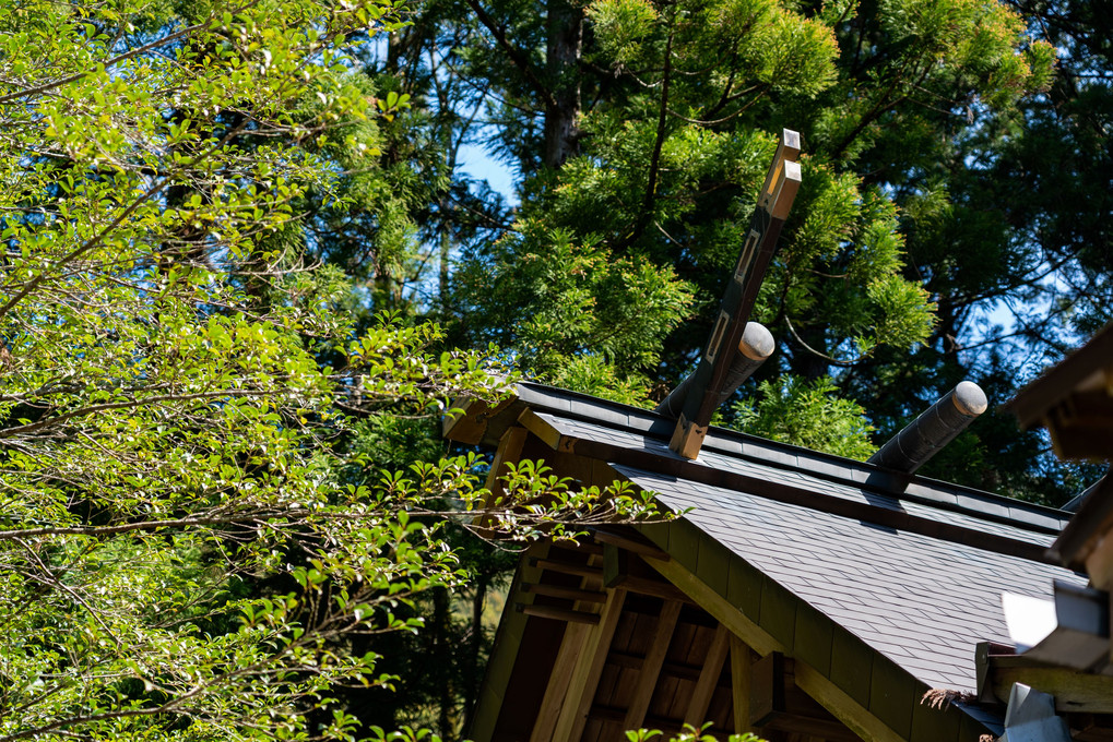 定神社（さだじんじゃ）