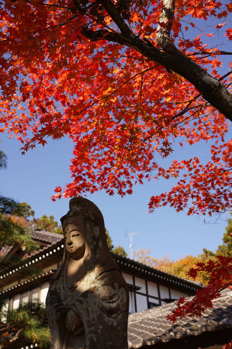 紅葉と石像と